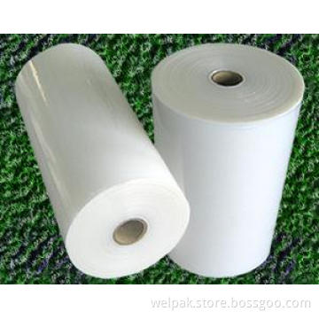 Clear Plastic Film Roll